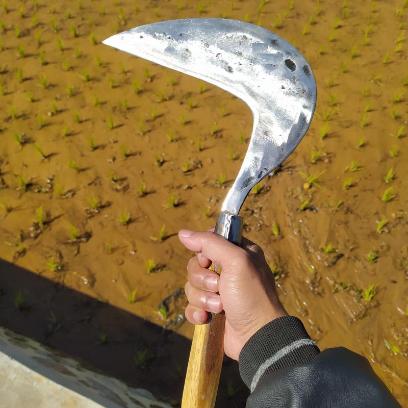 Product Introduction of Arit rumput arit super perlengkapan kebun Arit rumput super kuat 1
