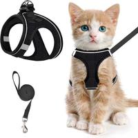 Collars, Harnesses & Leads