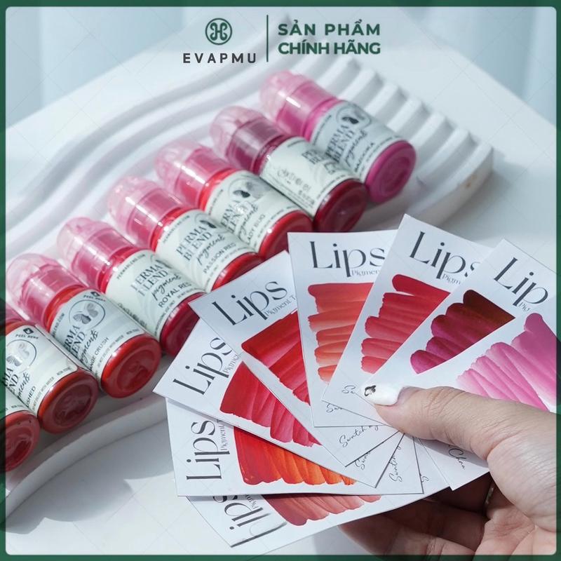 Mực Perma Blend Bám Nhanh mini 5ml /Full size 15ml - Mực phun mày môi, sửa thâm xanh-đỏ - Nữ