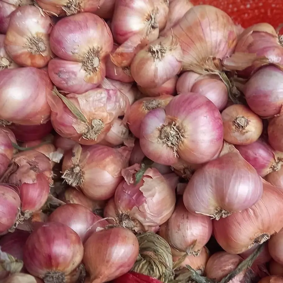 1kg  Hành phơi khô yên châu Sơn la