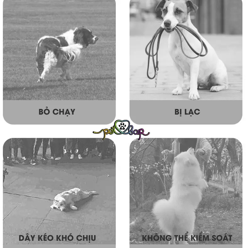 [2-14kg] Dây dắt cho thú cưng mặt cún chất liệu siêu mềm có viền phản quang chống lạc 6