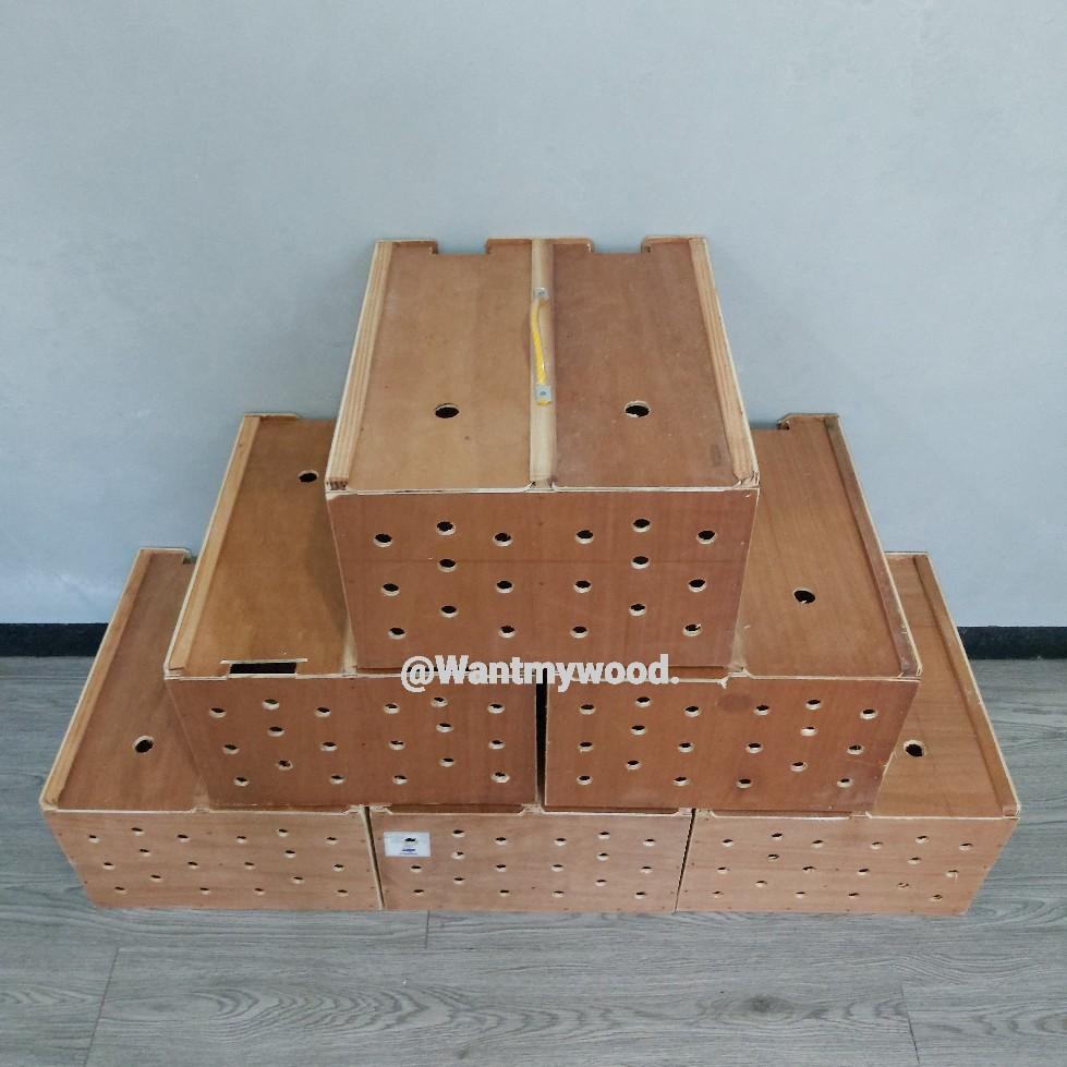 Derby Wooden Box Kulungan ng Manok 2 division With Lid - TikTok Shop ...