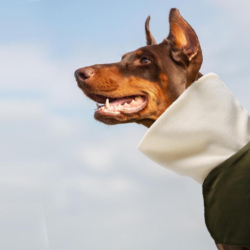 Winter Pet Clothes, Thickened Warm Dog Coat, Reflective Thermal Lined Dog Jacket, Pet Clothes for Large Dogs, Dog & Cat Clothing Supplies 7