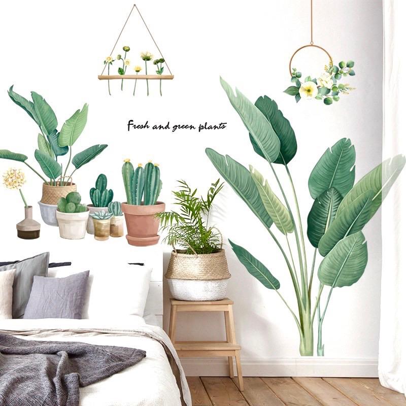  Decal dán tường mẫu chậu cây Xanh 