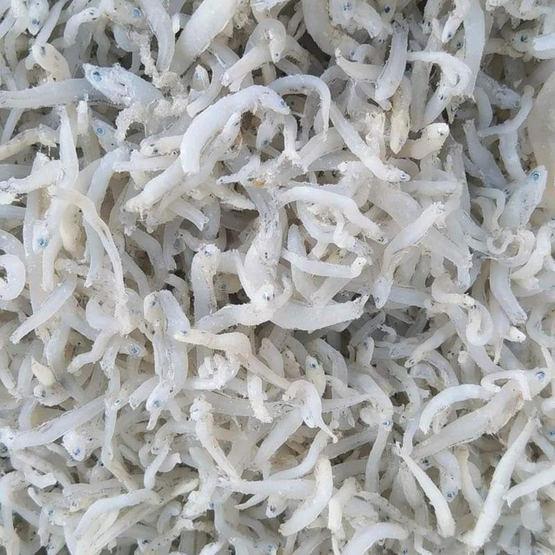 [COD] IKAN ASIN TERI NASI ASLI MEDAN 500GR 0