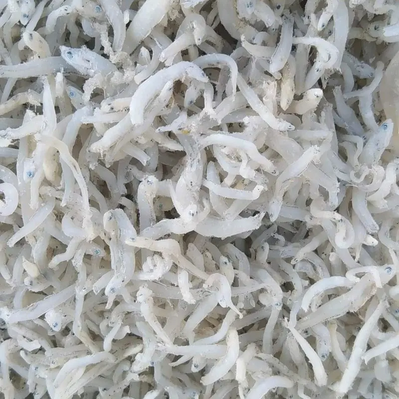 [COD] IKAN ASIN TERI NASI ASLI MEDAN 500GR 0