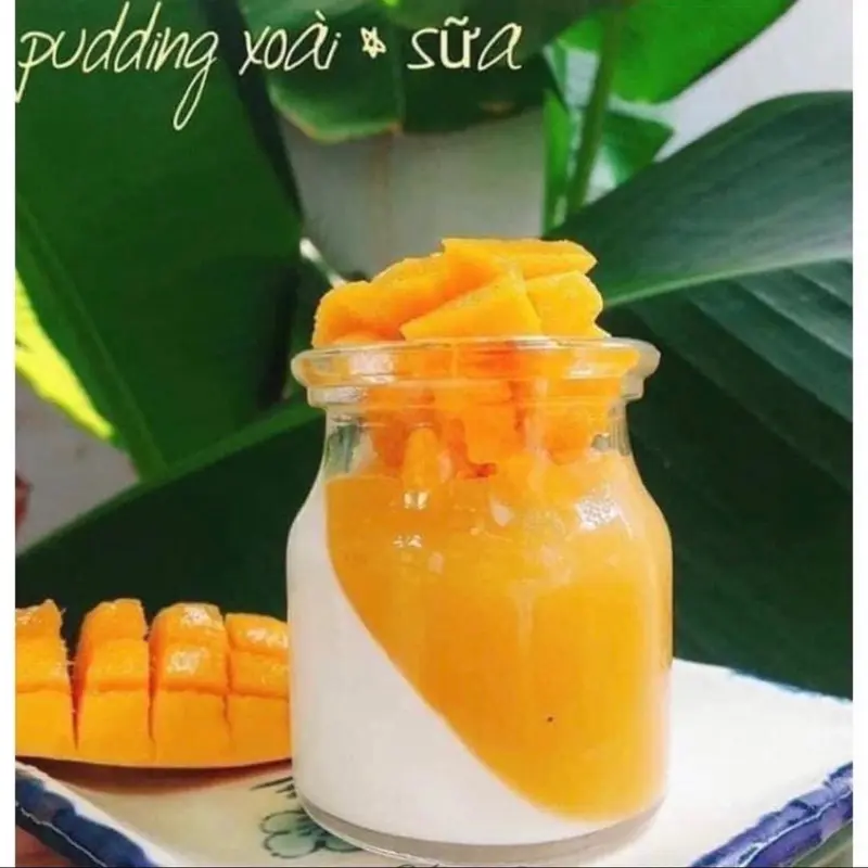 Bột gelatin/Bột nở/Bột pudding/Bột men nở hữu cơ 4
