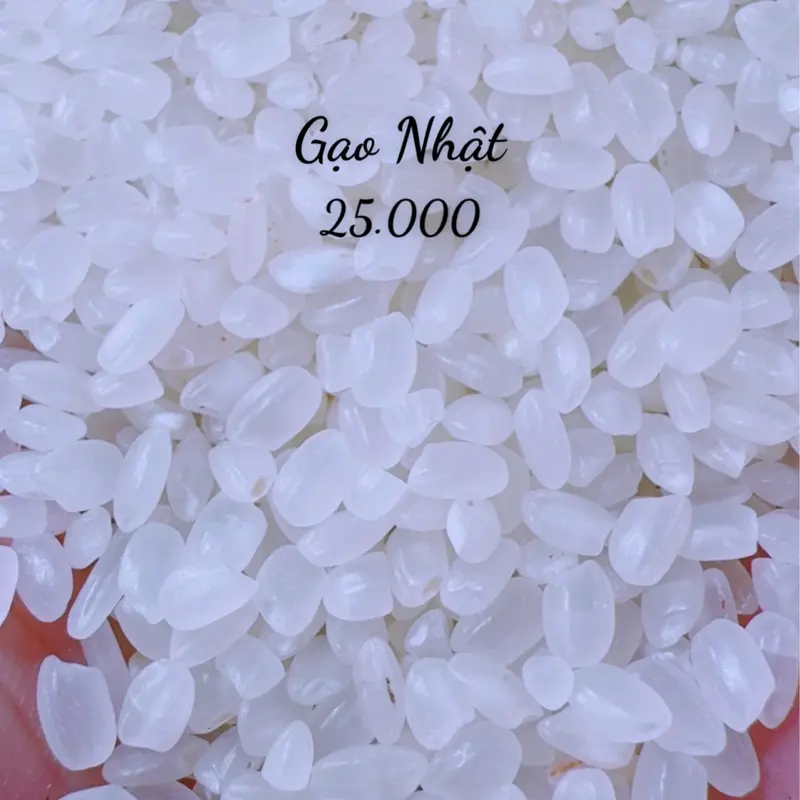 10Kg Gạo Nhật Làm Sushi Dẻo Mềm Ngọt Cơm ( 10KG) 2