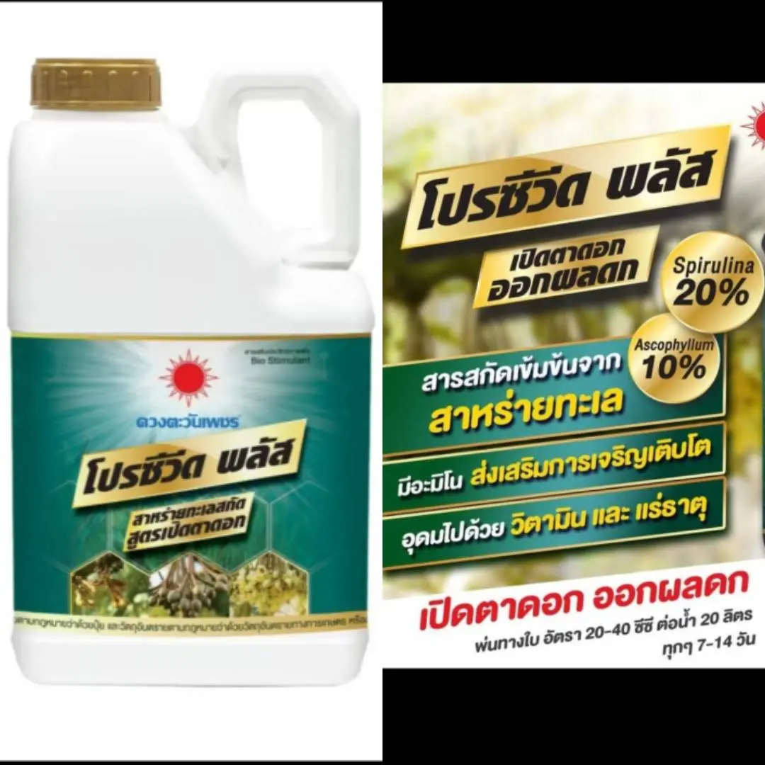 โปรซีวิดพลัส แกลลอน 5L (ดวงตะวันเพชร)