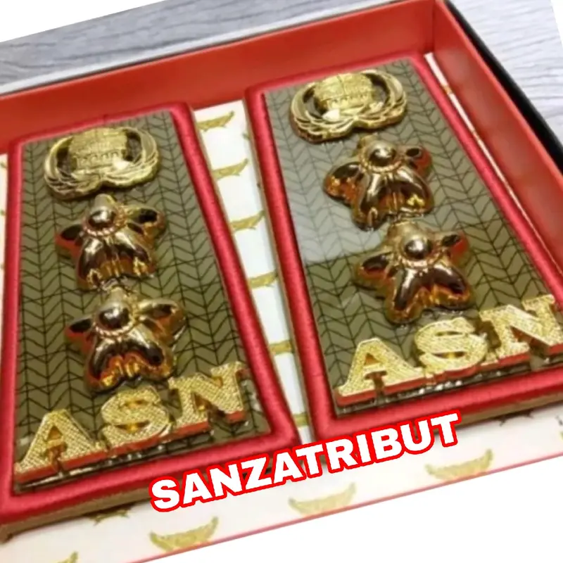 Pangkat ASN Kalimantan Utara 3d 4a 4b Pangkat Pns Kaltara 3