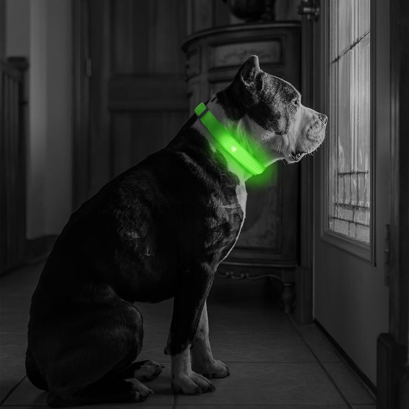 Product Introduction of LED luminous pet collar, suitable for small and medium-sized dogs - keep your pet safe and visible during nighttime walks, slightly waterproof 13