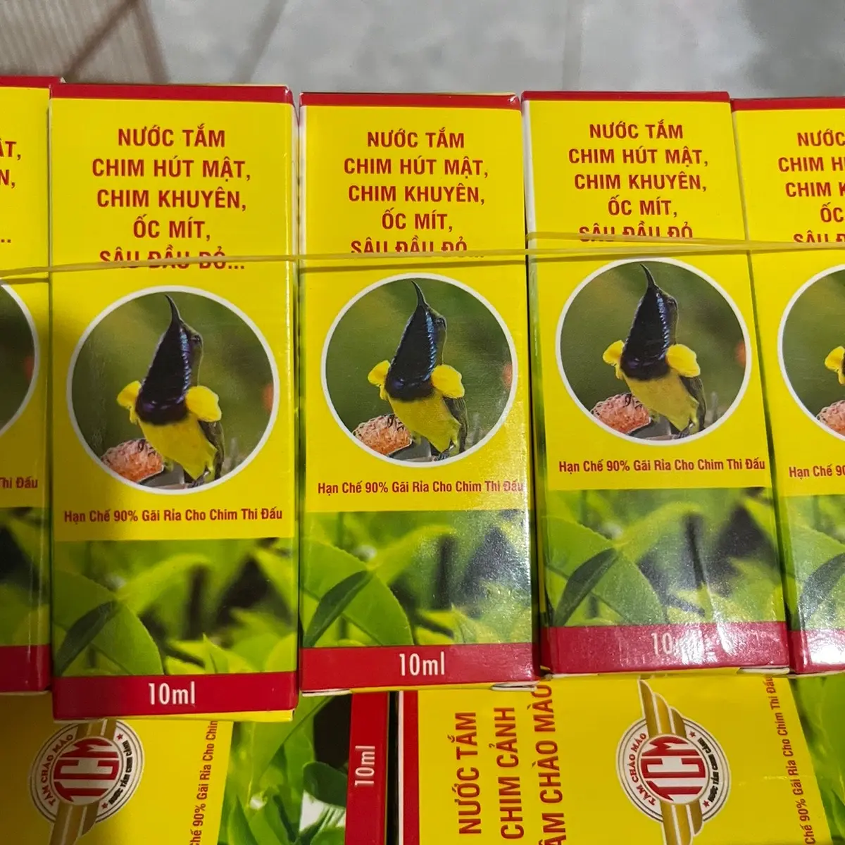 Tắm chim hút mật 5 màu