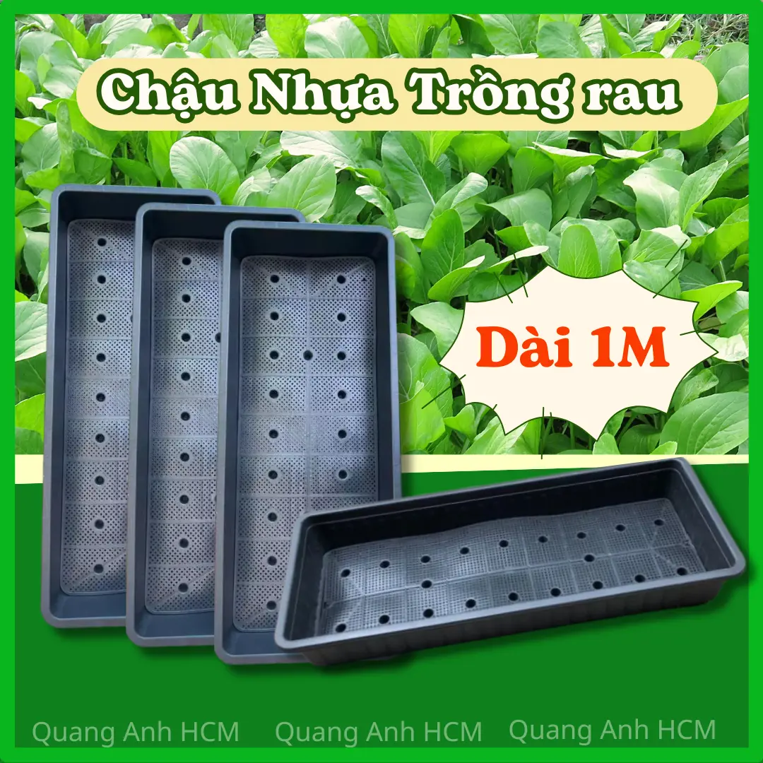 COMBO 2 Khay nhựa trồng rau đen cỡ lớn dài 1m02 Thông Minh,Chậu nhựa trồng rau sạch bằng nhựa PP cao cấp