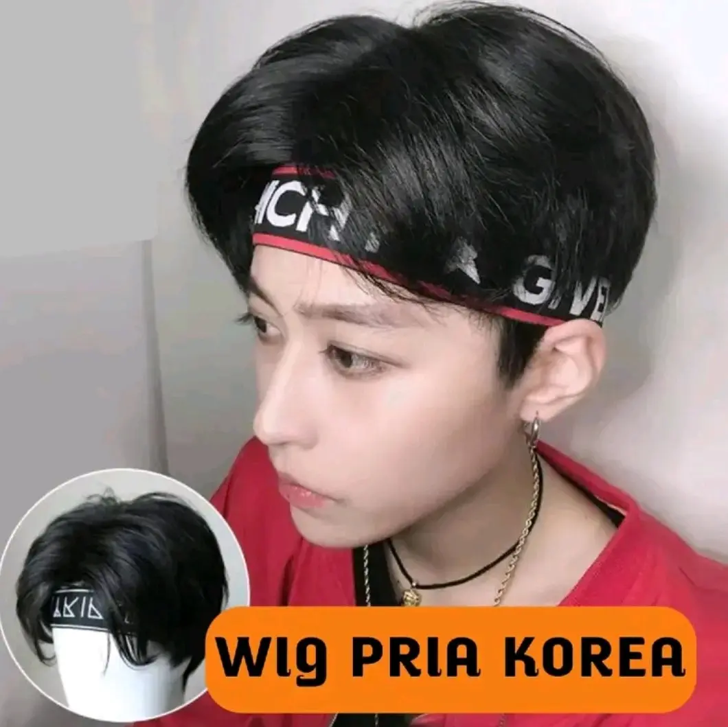 Wig Pria Murah Rambut Palsu Murah