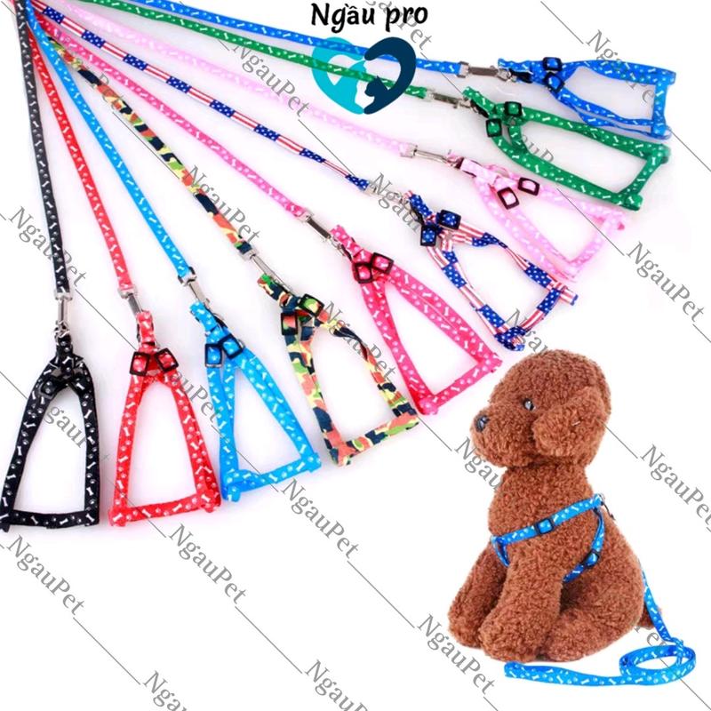 Dây dắt chó, xích mèo thú cưng kèm đai yếm ngực loại 1 LỚP đi dạo in hoạ tiết nhiều màu sắc dưới 2.5kg Ngaupet