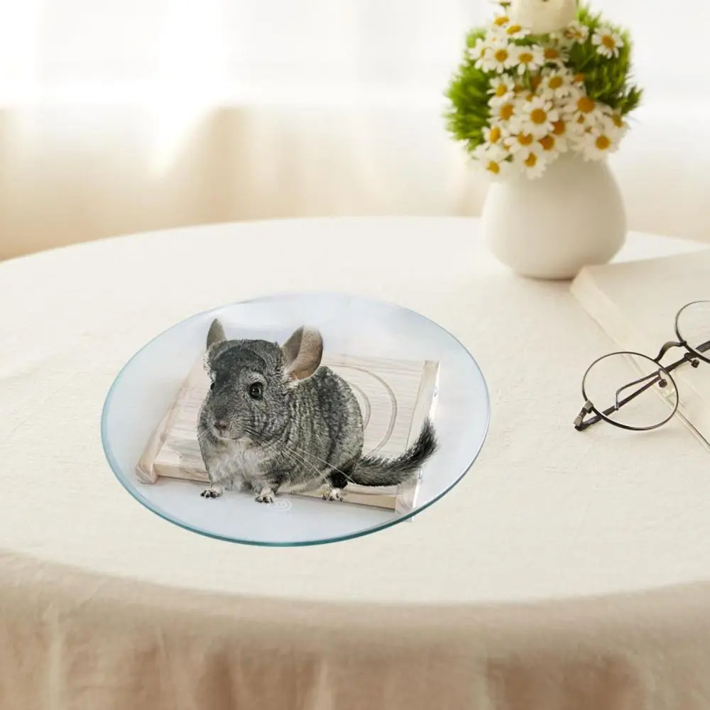 Hamster Wheel Platform Silent Running Exercise Wheel Quiet Cage Accessories Running Turntable Toy for Rat Hamsters Gerbils