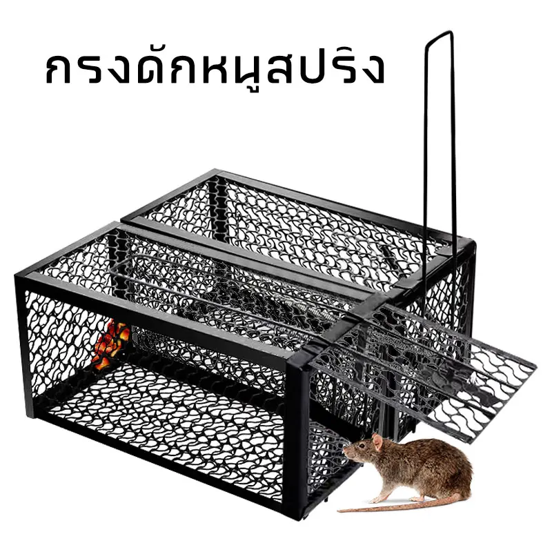 กรงดักหนู กรงหนู สปริง 2 ตัว โครงหนา กรงดักหนู กรงดักหนูแบบมีโครง กรงดักหนูสปริงคู่ กรงดักหนูนา กรงดักหนูเล็ก แข็งแรง ทน