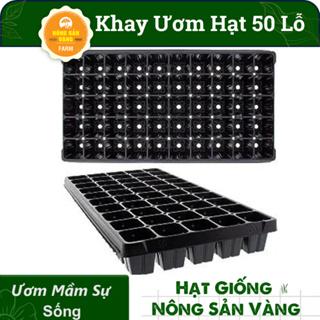 Khay Ươm Hạt Giống 50 Lỗ Kích Thước 55*30*5.5 cm , Vỉ Ươm Giúp Cho Hạt Nảy Mầm Tốt - Nông Sản Vàng 5