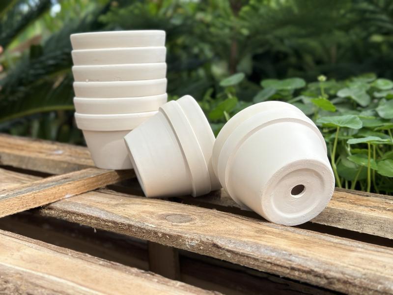 MAY Chậu Đất Nung Ly Thao Tròn Men Trắng - Trồng Xương Rồng Sen Đá.