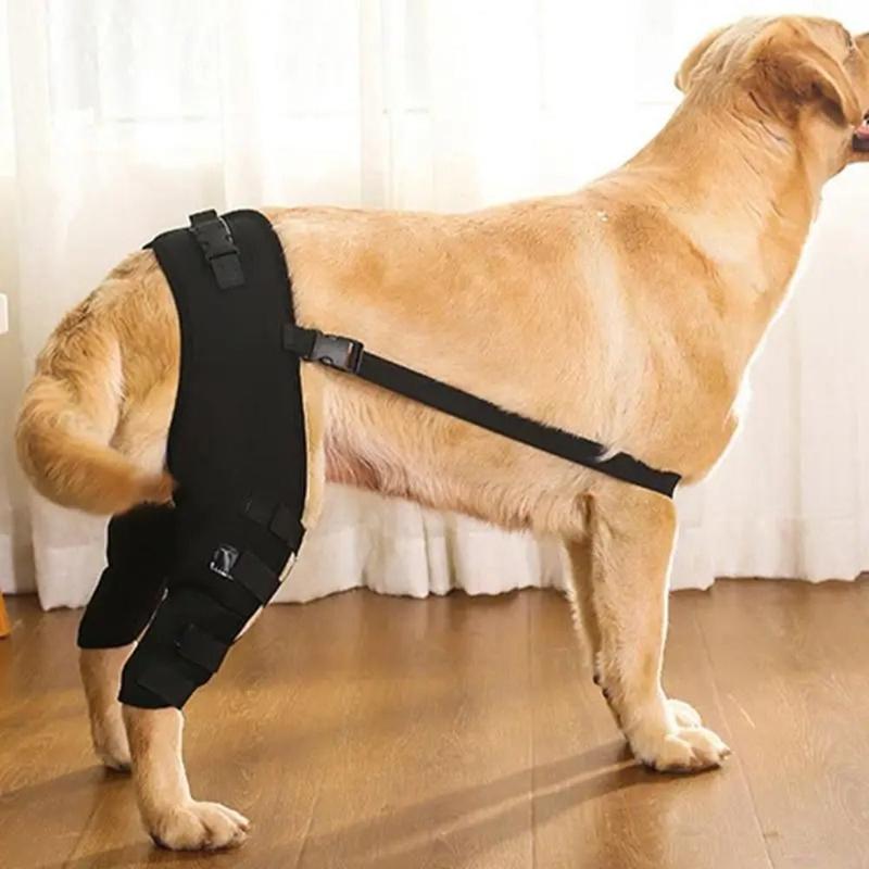 Practical Joint Injury Recovery Pet Knee Pad Knee Hip Joint Protect Torn Hind Leg Legs Protector Cloth 4Size Support Belt Pet 1