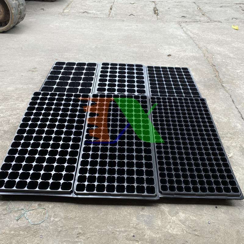 Khay nhựa ươm cây, Vỉ ươm hạt giống, Khay nhựa PET ươm hạt rau - TikTok ...