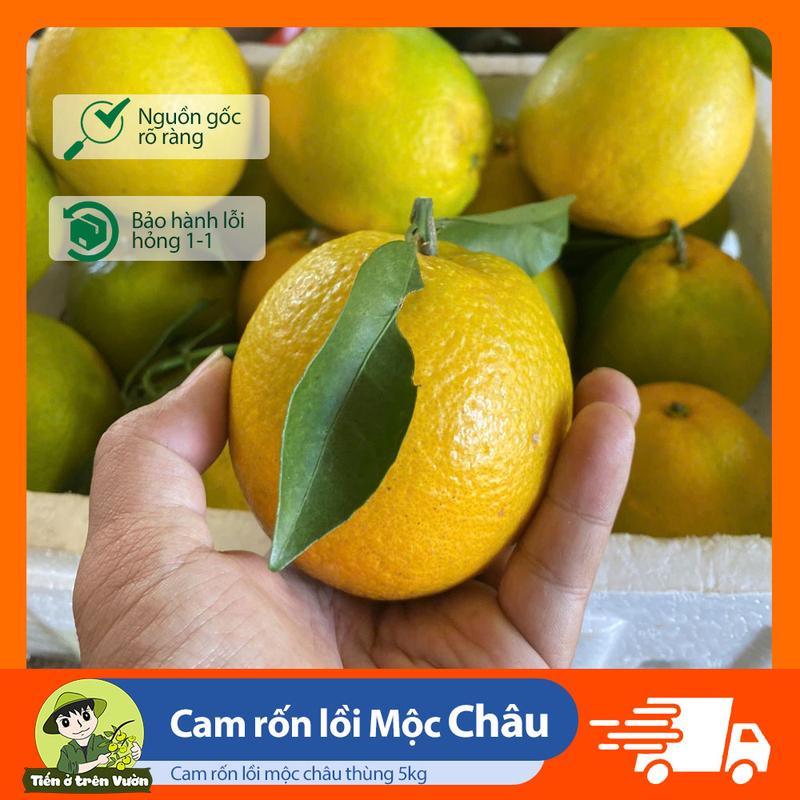    Combo 5kg  Cam Rốn Lồi Mộc Châu Thùng 5kg Không Hạt Ăn Ngọt Ít Chua - Sản Phẩm Đặc Trưng Từ Mộc Châu 
