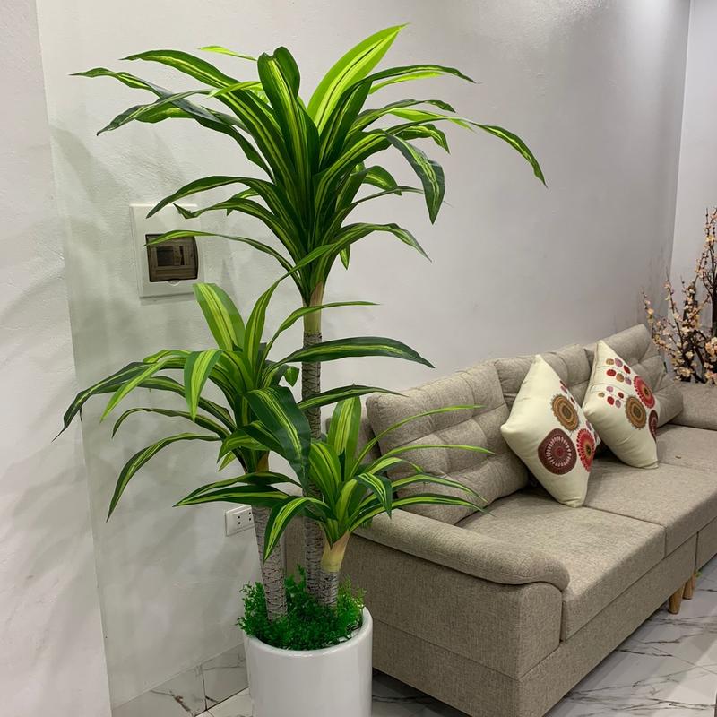Cây thiết mộc lan 3 thân cao 1m6 giả, cây giả trang trí,decor, trang trí phòng