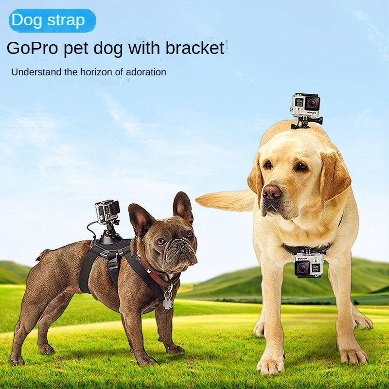 Suitable for GoPro Accessories, Pet Harness First-Person Vie - TikTok ...