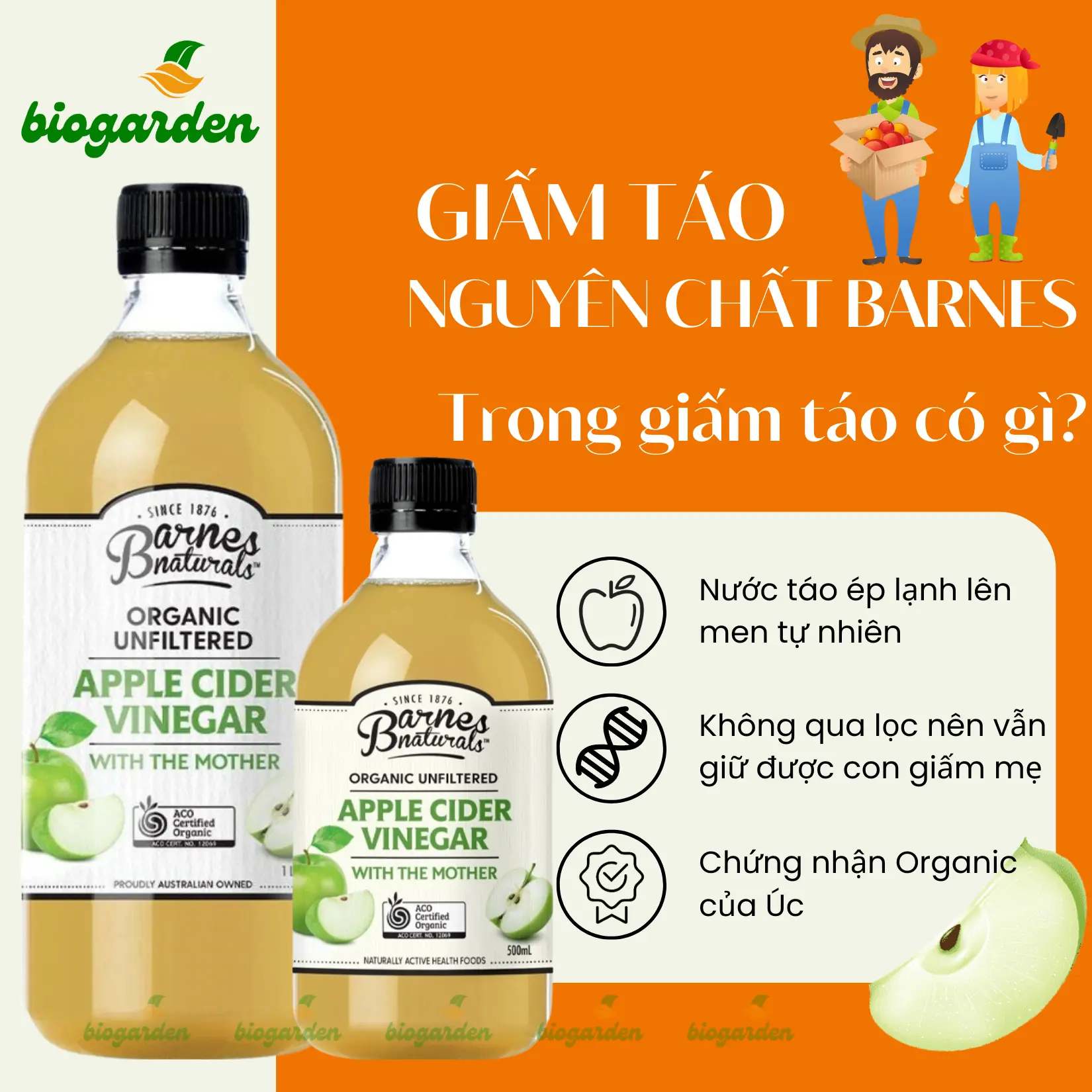 Giấm Táo Hữu Cơ Nguyên Chất (Có Giấm Mẹ) Chai 500ml và 1000ml Barnes Naturals - Hỗ Trợ Tiêu Hoá - Giảm Mùi Hôi