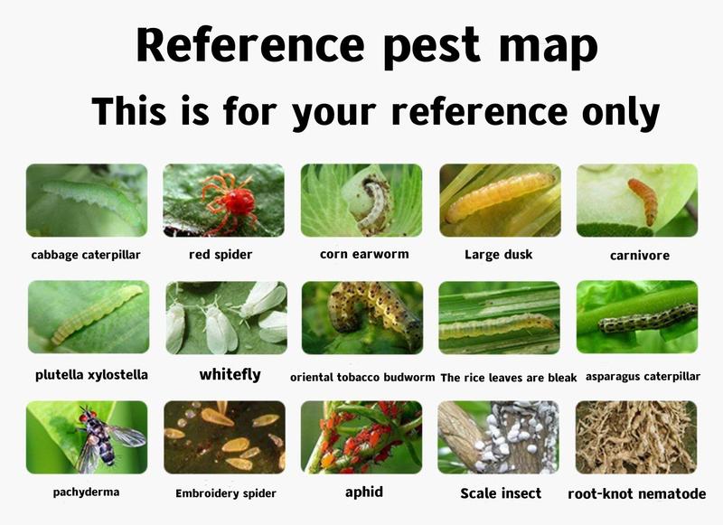 Product Introduction of Yong Guan 1.8% Avermectin Fruit Tree Red Spider Vegetable Aphid Flower Planthopper Small White Medicine Cabbage Insecticide 15