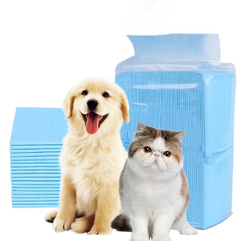 Tả lót vệ sinh huấn luyện Chó mèo, Miếng lót cho chó, mèo đi vệ sinh Tã Lót Vệ Sinh Cho Chó Mèo 8
