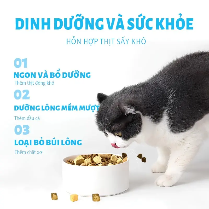 [1kg] Thức Ăn Hạt Cho Mèo MrVet - Hạt MrVet cho mèo mọi lứa tuổi 7