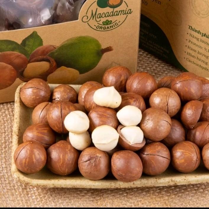  Macca sấy tách vỏ thơm ngon Foodshealthy Đăk Lăk món ngon  cho mọi nhà- size nhỏ  18-20mm quả hạch món Ăn Vặt Thức Ăn Nuts 
