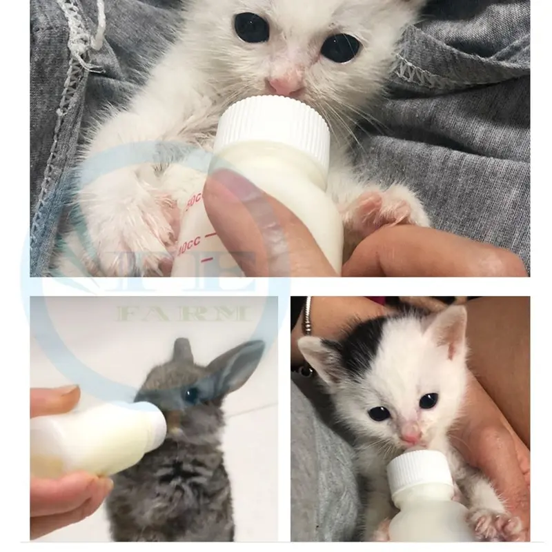 Dot Polos Susu Kucing Kitten Adult Botol Minum Hewan Peliharaan 4