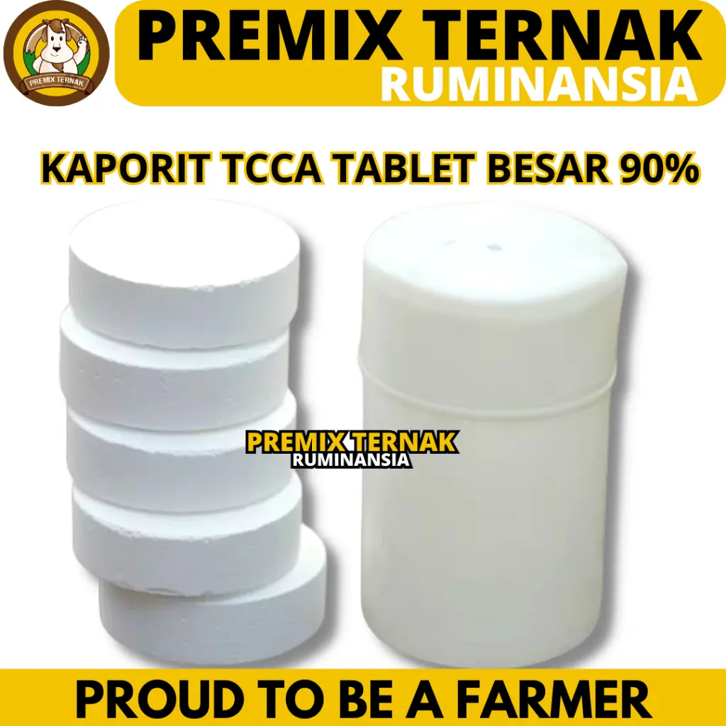 KAPORIT TABLET BESAR TCCA 90% 1 KG - Chlorine Tablet Obat Kolam Renang Penjernih Air Kolam Renang