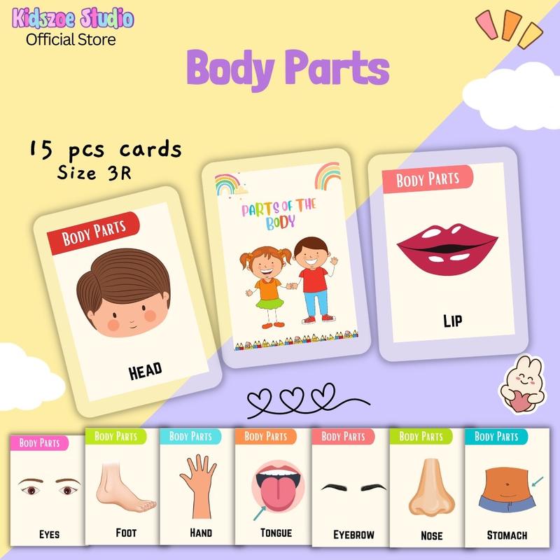 Body parts flashcards - TikTok Shop Philippines