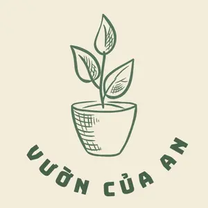 Vườn Của An