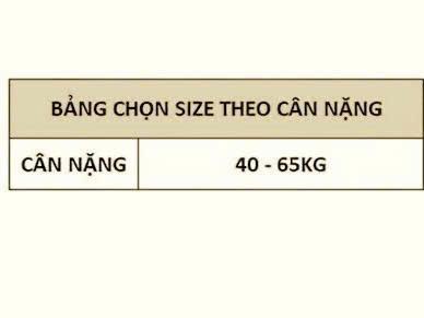 Product Introduction of (CHÍP NỮ) SET 6 CHIẾC QUẦN LÓT NỮ SU THẠCH BĂNG LỤA TÀNG HÌNH KHÔNG ĐƯỜNG MAY Women 0