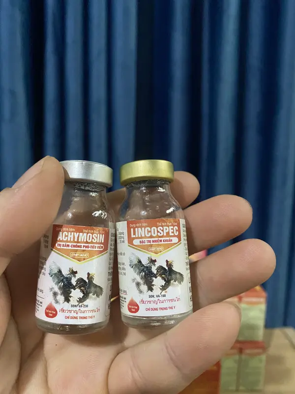 Combo KS03 (ACHYMOSIN + LINCOSPEC) dùng cho gà viêm khớp, sưng củ bàn, né chậu 0