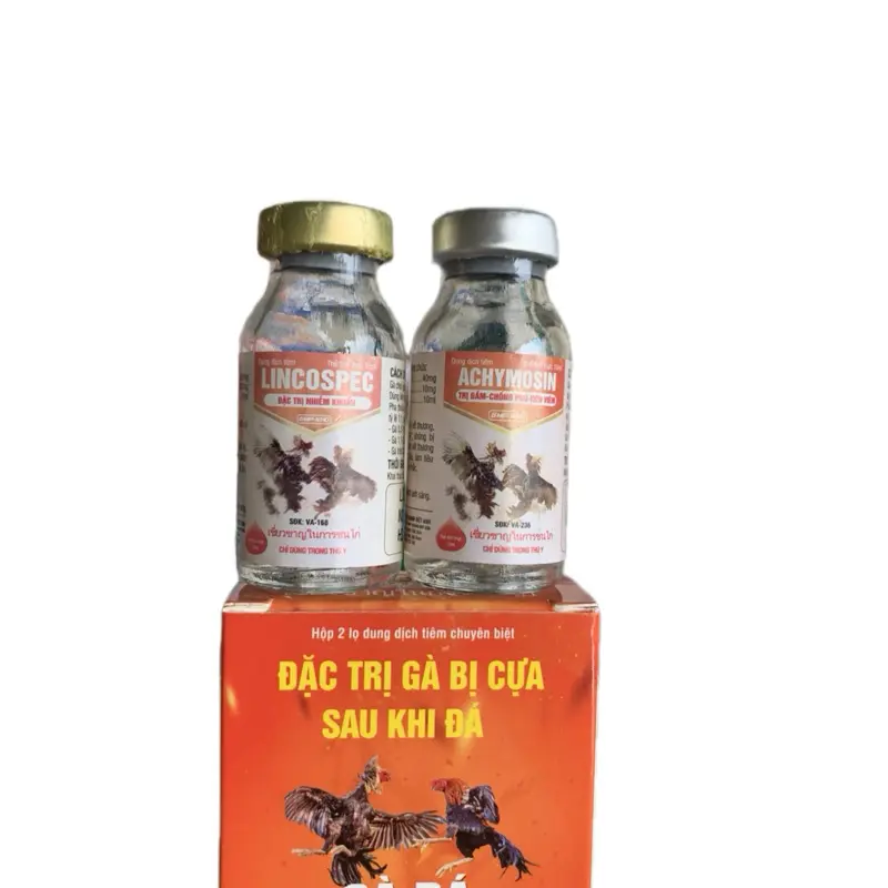 Cặp gà đá, tan máu bầm, chống phù nề, tiêu viêm