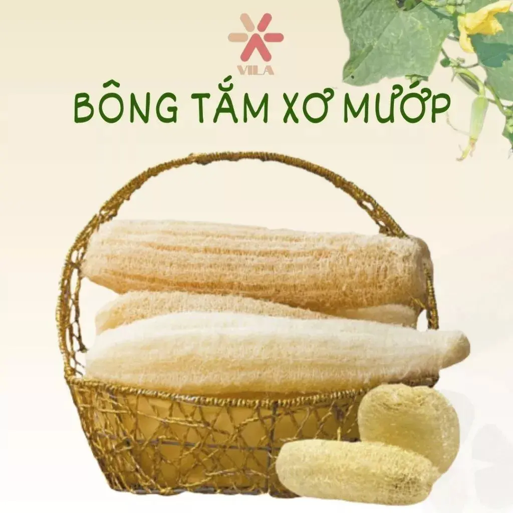 Xơ mướp khô nguyên trái sạch tự nhiên làm bông tắm, miếng rửa chén- 12- 40cm- hàng xuất khẩu