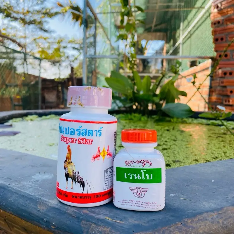 Compo bổ gân, tăng gân gối của thái 5