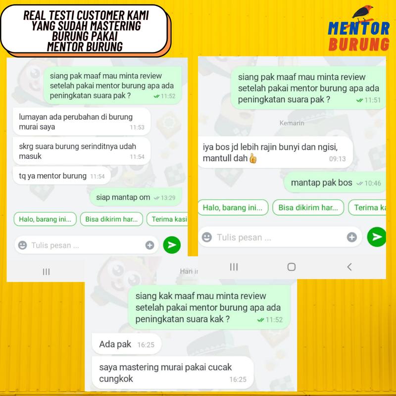 Memory card masteran khusus burung murai jernih berjeda gacor - mp3 isian khusus burung murai batu air hutan blesetan Otg 2