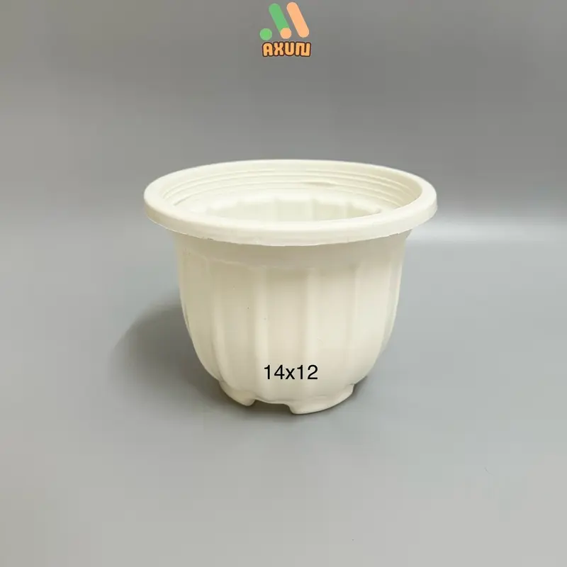 Chậu nhựa cứng tròn trắng mini trồng sen đá và xương rồng 5