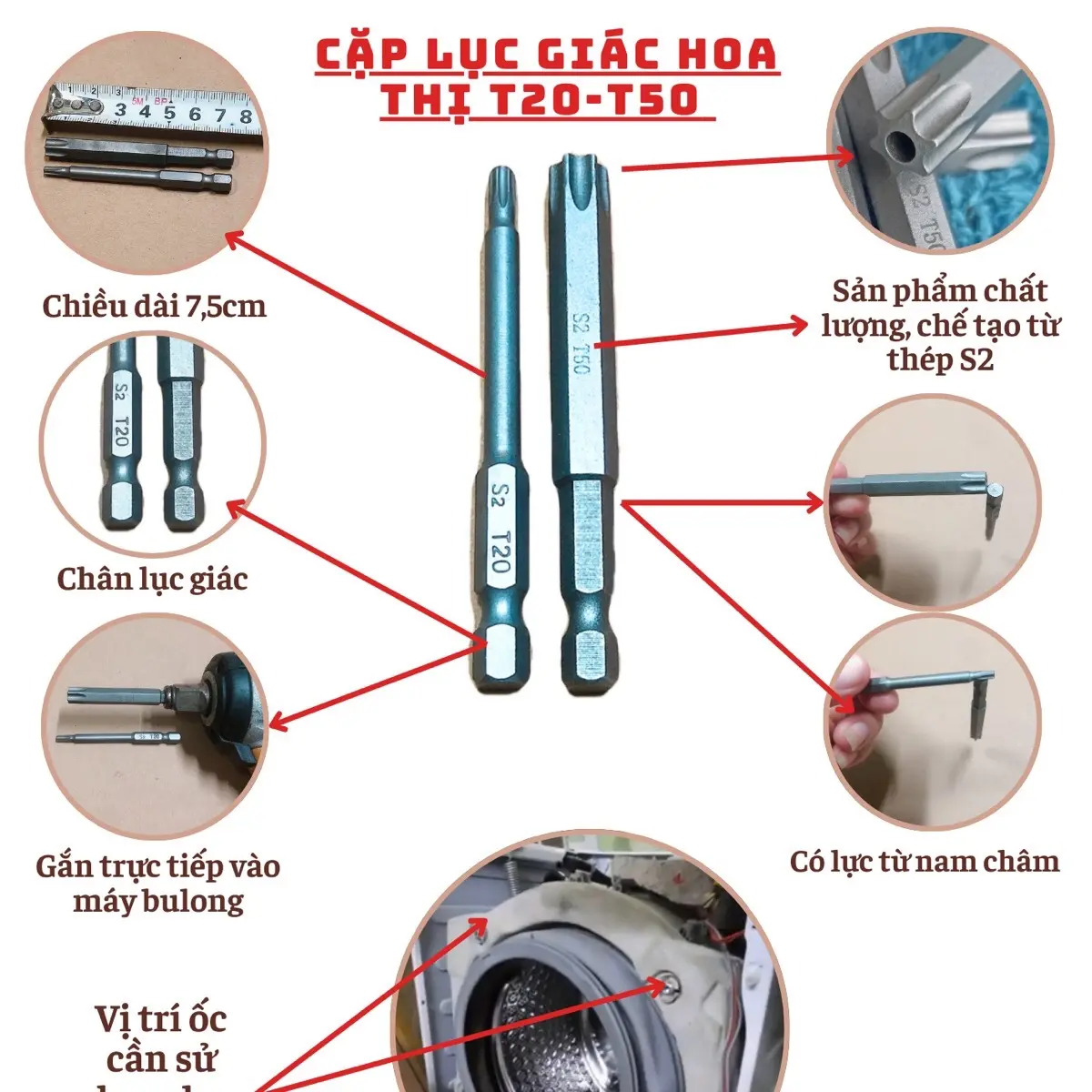Hoa thị T20 và T50 tháo ốc máy giặt