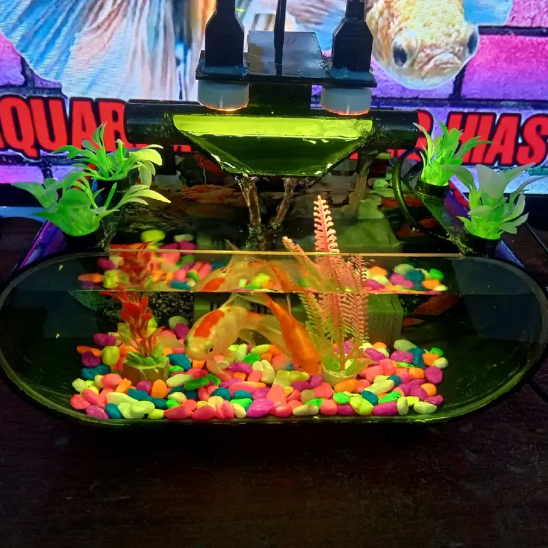 Akuarium akrilik Ikan Hias 1