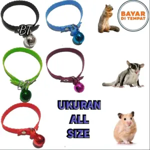 kalung tupai / sugar glider / hamster ukuran all size