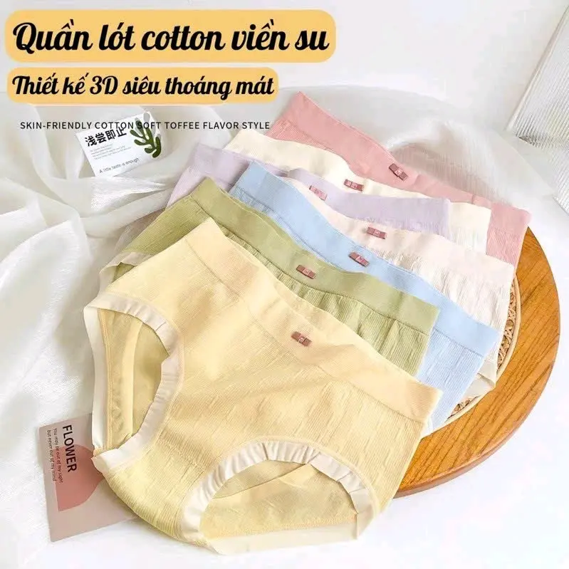 Set 10 quần cotton phối viền su mềm mịn Nữ Quần Lót Women