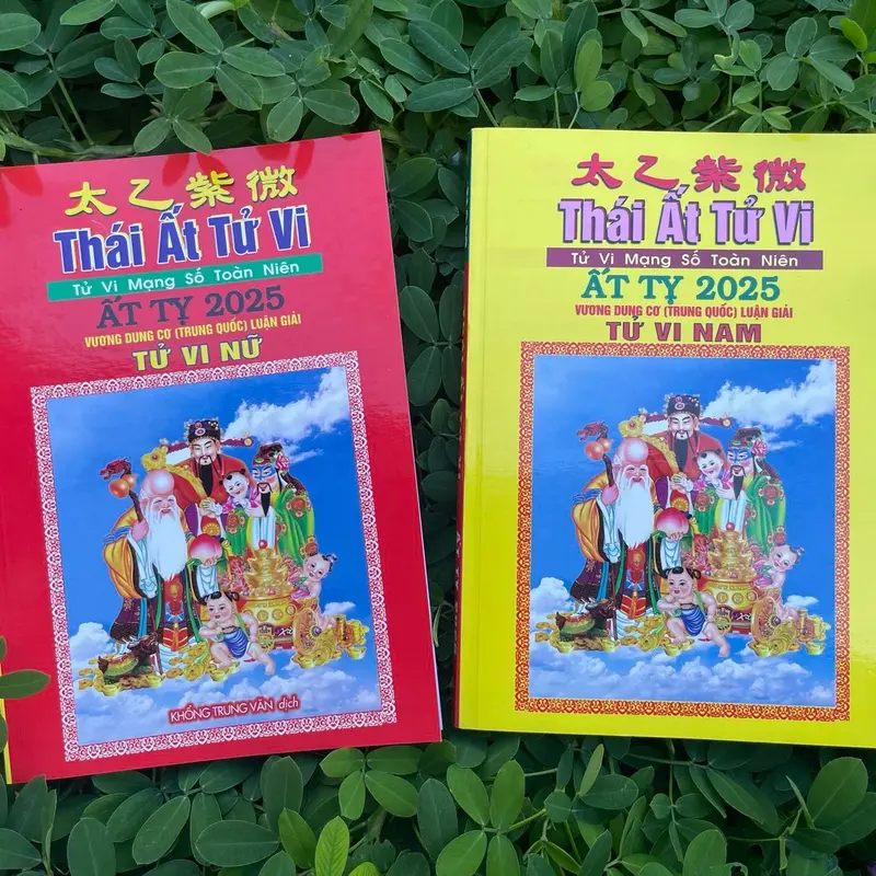 Lịch Thái Ất Tử Vi Toàn Niên Ất Tỵ 2025 (nam) 7