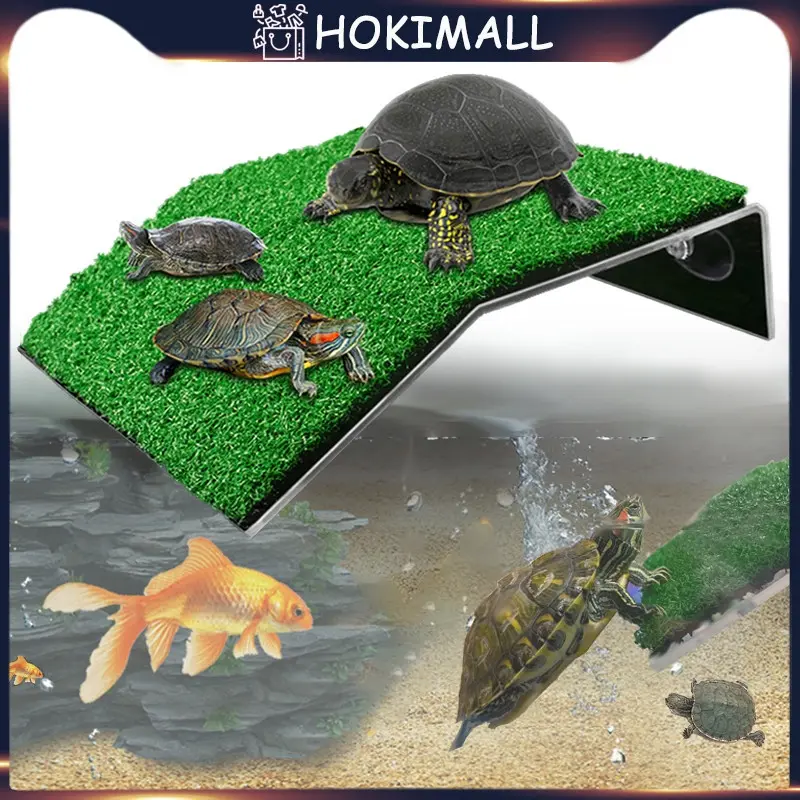 Platform Kura-Kura Turtle basking island Tempat jemur kura Tempat Berjemur Kurakura